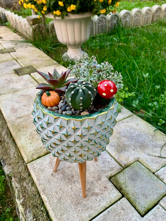 El Yapımı Sukulent Kaktüs Beton Saksılar