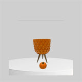 El Yapımı Sukulent Kaktüs Beton Saksılar