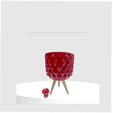 El Yapımı Sukulent Kaktüs Beton Saksılar