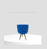 El Yapımı Sukulent Kaktüs Beton Saksılar