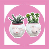 Handmade Ceramic Oval Plate Special Design